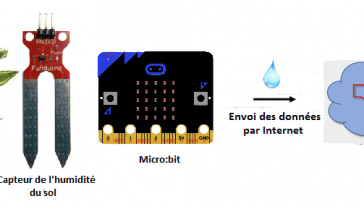 MO220 DETECTEUR DE L'HUMIDITE DU BOIS – ORBIT ELECTRONIC